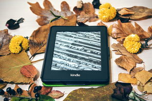 孕期喝咖啡一天不能超过多少毫克安全? 孕期喝咖啡一天不能超过多少毫克安全?