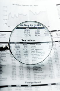 红桥同志供卵选性别：nt值偏高风险大吗下一步检查什么？
